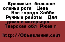 Красивые  большие оленьи рога › Цена ­ 3 000 - Все города Хобби. Ручные работы » Для дома и интерьера   . Тверская обл.,Ржев г.